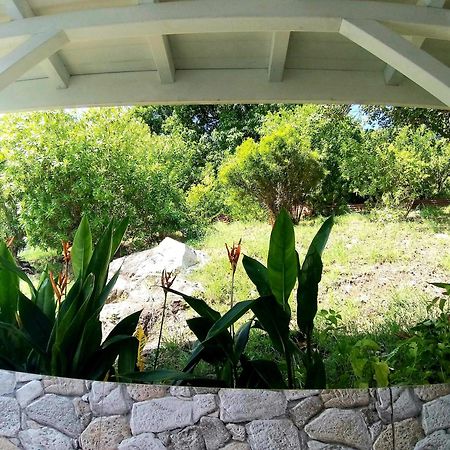 Villa Cana Et Son Spa A Terre De Haut Ngoại thất bức ảnh