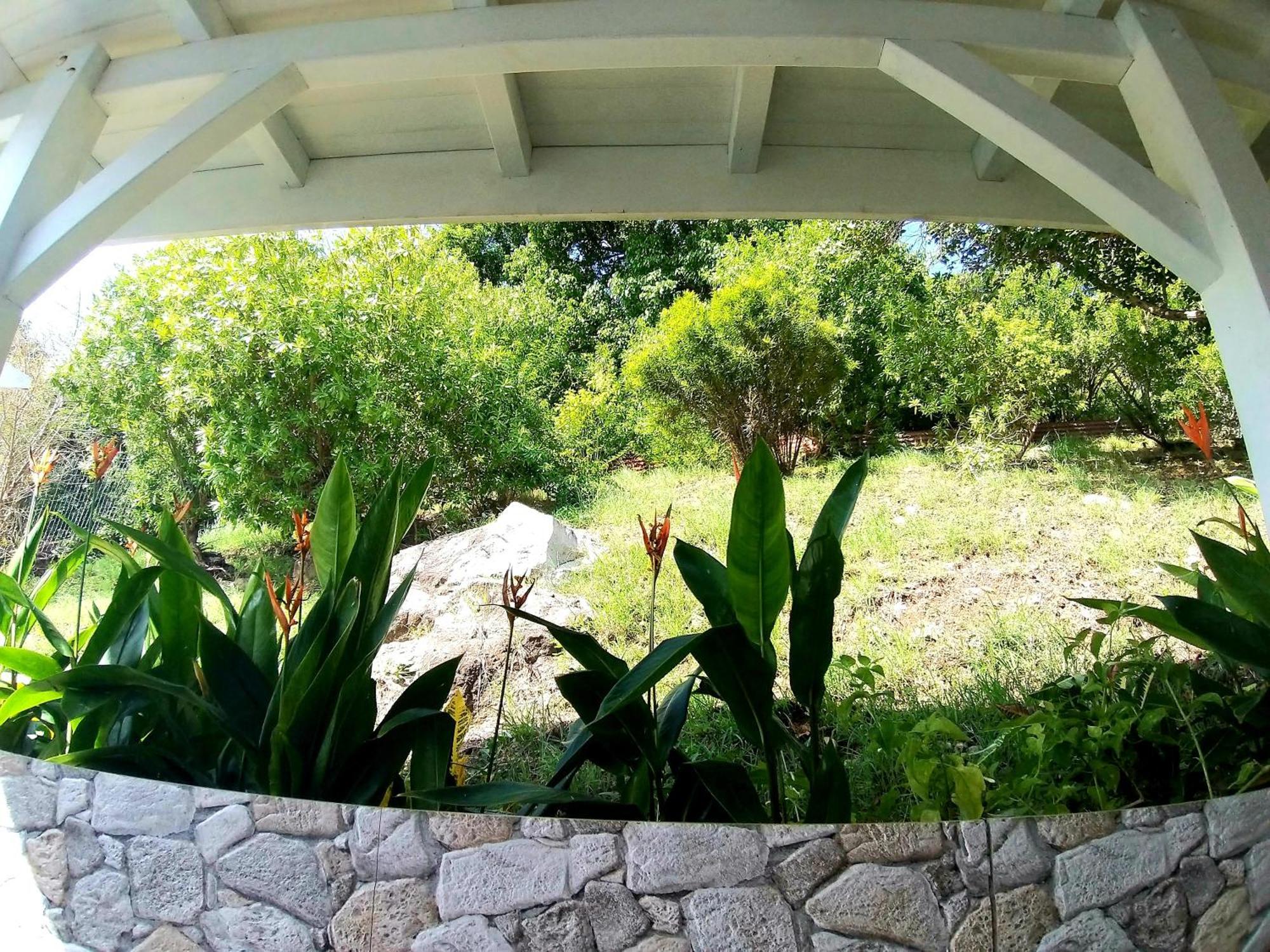 Villa Cana Et Son Spa A Terre De Haut Ngoại thất bức ảnh